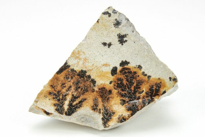 Dendrites On Limestone - Utah #207782